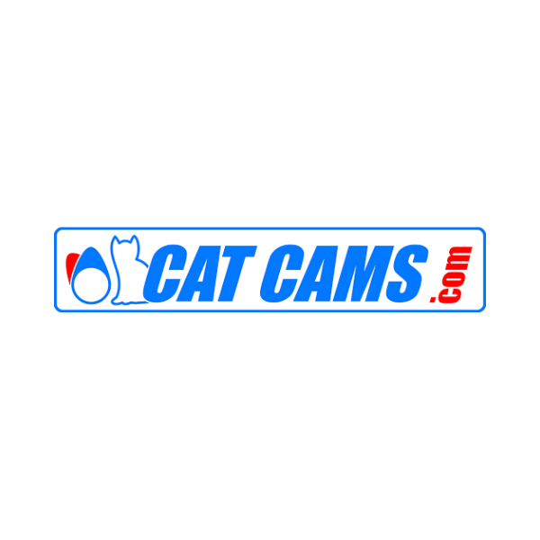 catcams-iresa-coches